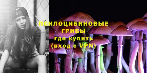 винт Алексеевка