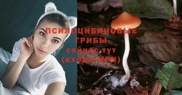 mdpv Алексин