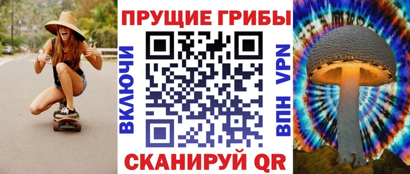 Галлюциногенные грибы Psilocybe  как найти закладки  ОМГ ОМГ сайт  Белый 