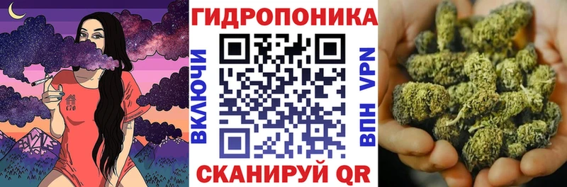 Бошки марихуана сатива Белый